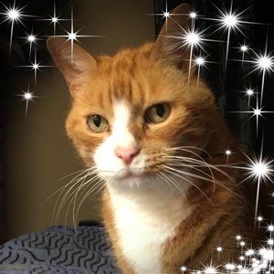 Meet your Posher, Lynn